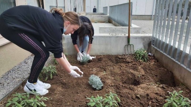 Croatia_Jelenje Dražice_1 Croatia_Jelenje Dražice_1