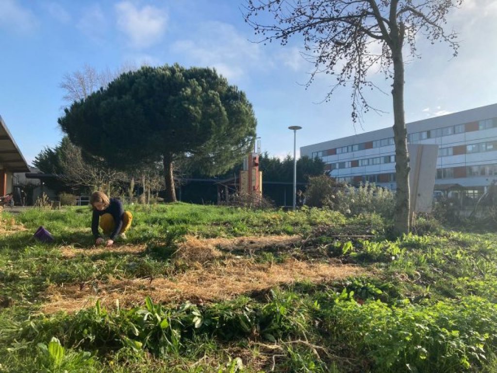 Henaff Garden Henaff Garden