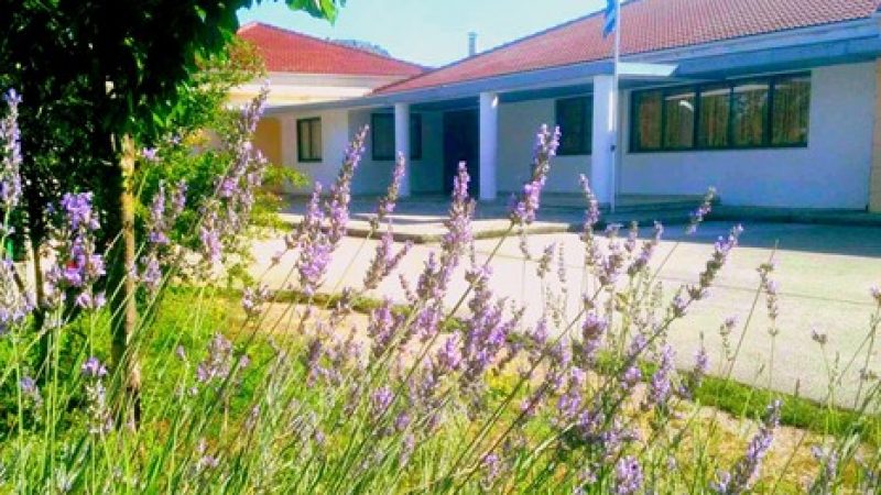 Primary-School-of-Koutselio-Ioannina Primary-School-of-Koutselio-Ioannina