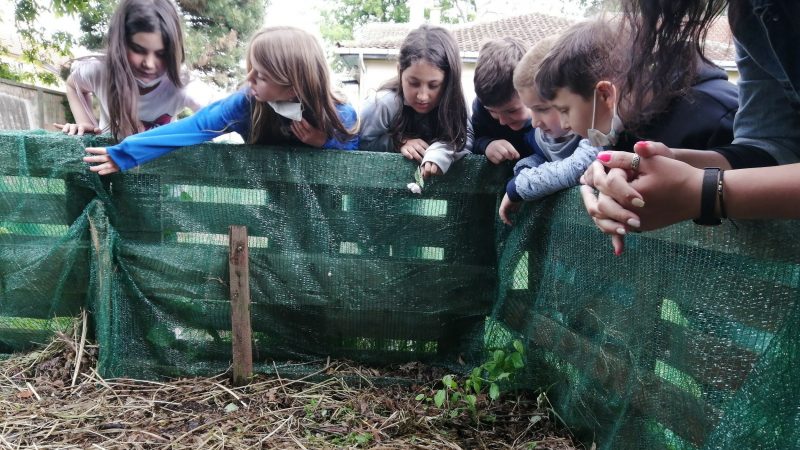 Serbia_PetarKocic_4 Serbia_PetarKocic_4