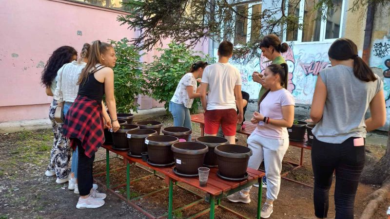 Serbia_Zaječar Gymnasium (13)