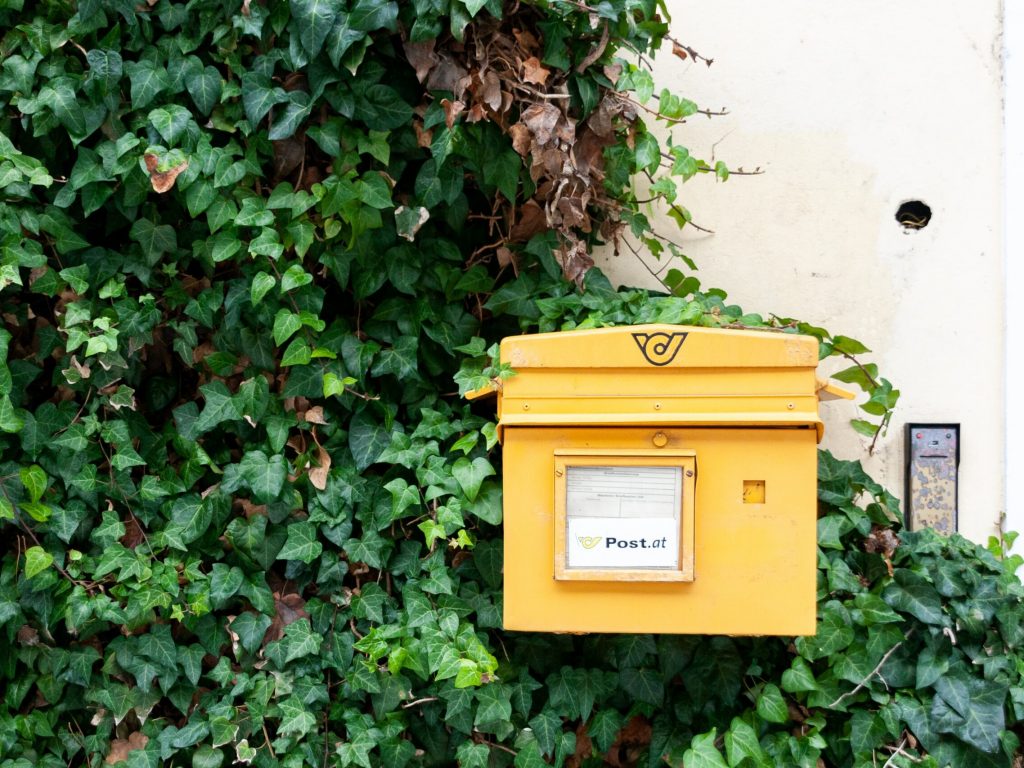 dimitry-anikin-uDlHnJYhBxc-unsplash dimitry-anikin-uDlHnJYhBxc-unsplash